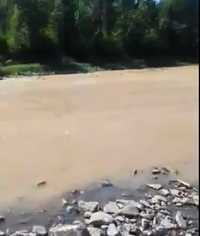 "�������������" ������������. �������� ���������� ����. 