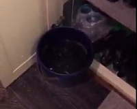 � ������ �������� �������� ����� �� ������� � �������� ��������