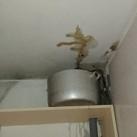 ���� ����, ���� ����, ���� ������ ���������